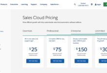 Salesforce CRM cost