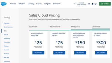 Salesforce CRM cost